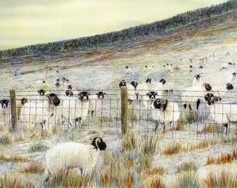 Art Print: "A frosty reception" - A4 sheep print, wall art, sheep painting, Swaledale sheep, winter landscape, from a painting by Dave Marsh