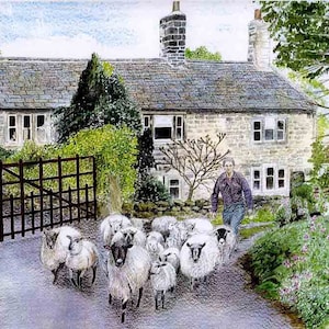May include: A watercolor painting of a stone cottage with a brown roof and a flock of white sheep walking down a path towards the house.