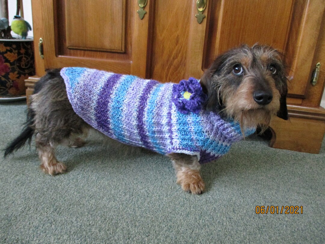 Hand Knitted Dachshund/sausage Dog Coat Ribbed Striped in Purple/blue