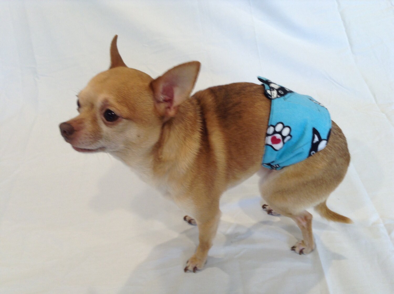 Dog Belly Bands for Wetting and Marking Dog Belly Wrap Male Etsy