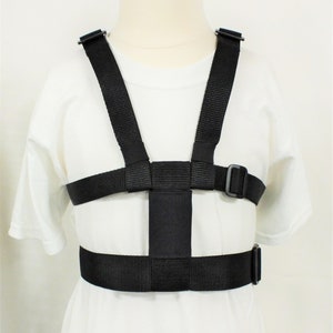 May include: Black adjustable harness with a wide chest strap and two shoulder straps. The harness is made of nylon webbing and has a buckle closure.