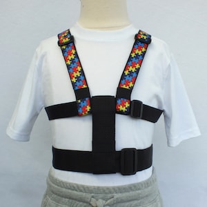 May include: A black and blue adjustable harness with puzzle piece patterned straps. The harness has two adjustable buckles on the chest and one on the waist.