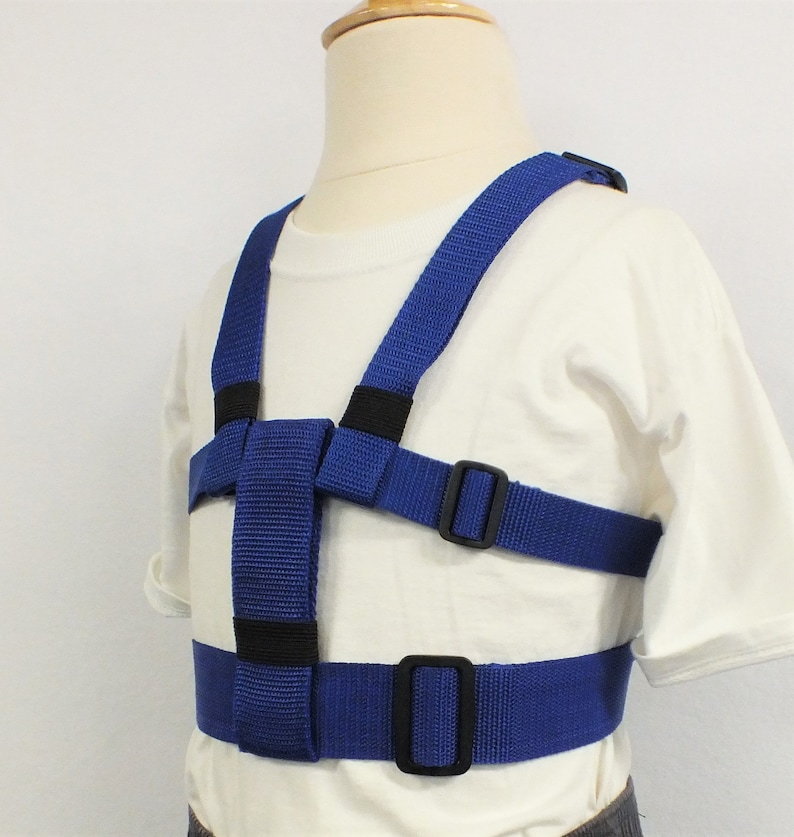 May include: A blue safety harness with adjustable straps and black buckles. The harness is worn by a child model.