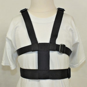 May include: Black adjustable harness with a wide chest strap and two shoulder straps. The harness has a buckle on the right side.