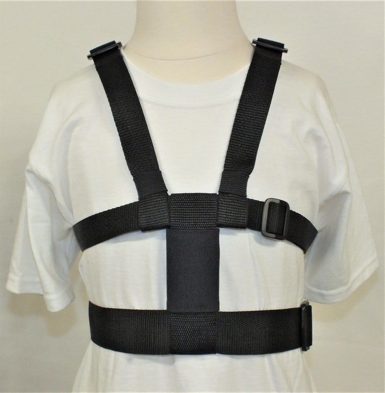 May include: Black adjustable harness with a wide chest strap and two shoulder straps. The harness has a buckle on the right side.