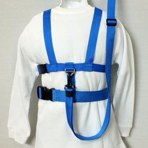 May include: A blue child safety harness with adjustable straps and a clip for attaching to a leash. The harness is designed to help keep young children safe while walking or running.