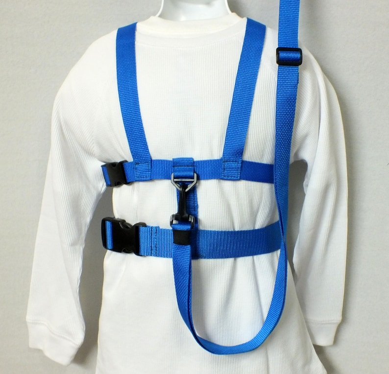 May include: A blue child safety harness with adjustable straps and a clip for attaching to a leash. The harness is designed to help keep young children safe while walking or running.