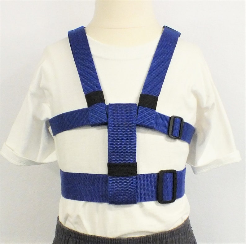 May include: Blue adjustable safety harness with black buckles. The harness has two straps that go over the shoulders and two straps that go around the waist.