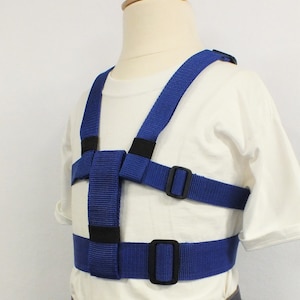 May include: A blue safety harness with adjustable straps and black buckles. The harness is worn by a child model.