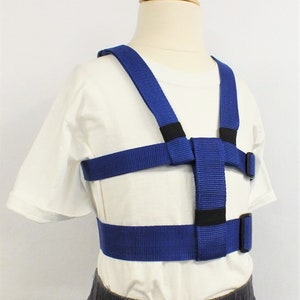 May include: Blue safety harness with adjustable straps and buckles. The harness is designed to help children stay safe while walking or running.