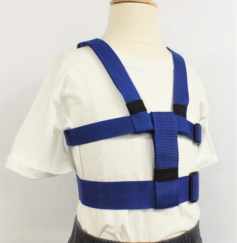 May include: Blue safety harness with adjustable straps and buckles. The harness is designed to help children stay safe while walking or running.