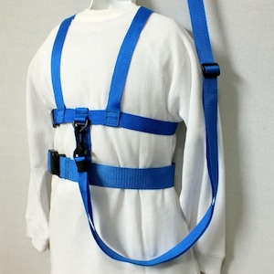 May include: A blue toddler harness with a leash. The harness has adjustable straps and a buckle closure. The leash is attached to the harness with a clip.