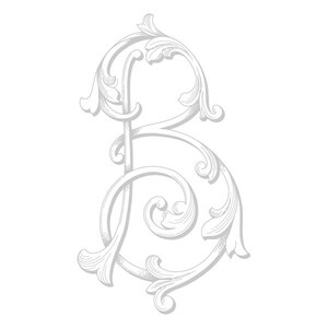 May include: A decorative, ornate, silver-colored letter S with a swirling, floral design.