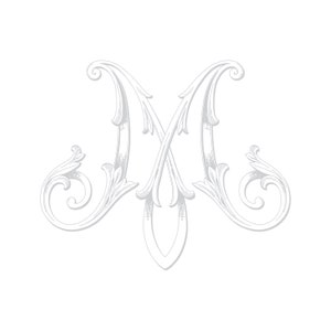 Op de afbeelding: Een decoratieve, gestileerde, zilvergrijze letter M met sierlijke versieringen.