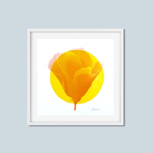 California Poppy Letterpress Print Vintage Botanical Illustration