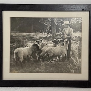 Impression photo vintage noir et blanc d'éleveur de moutons. Encadré.