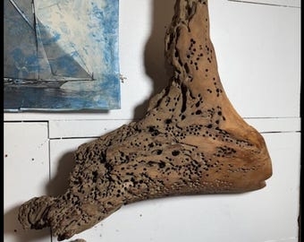 Vintage Cypress Driftwood Sculptural Art