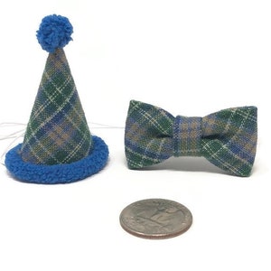 Mini Birthday Set, Blue Green Plaid Birthday Set, Party Hat, Birthday Hat, Hedgehog Birthday Hat, Chicken Party Hat, Ferret Party Hat