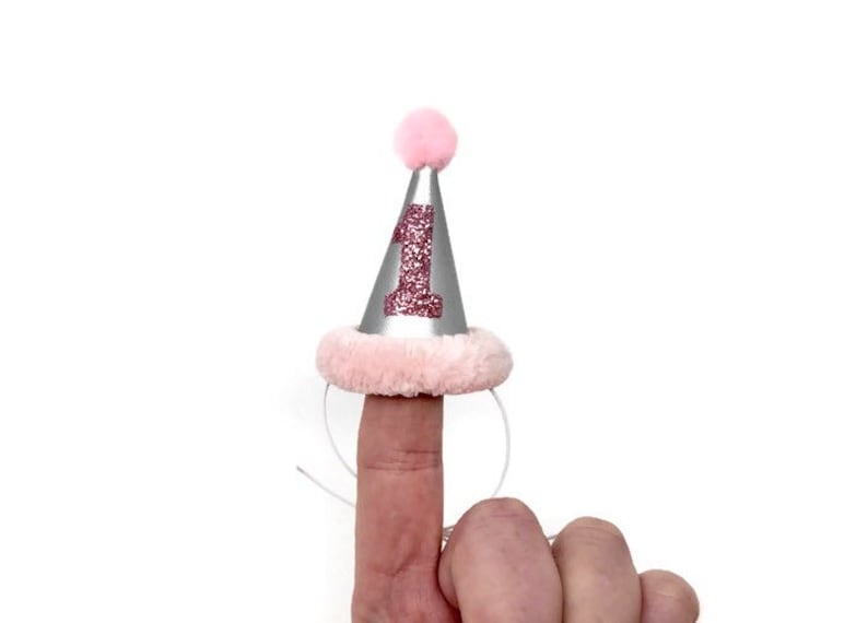 Rabbit Hat Bunny Hat Mini Baby Pink and Silver Birthday Hat Hedgehog Party Hat Guinea Pig Hat Ferret Party Hat Chicken Party Hat