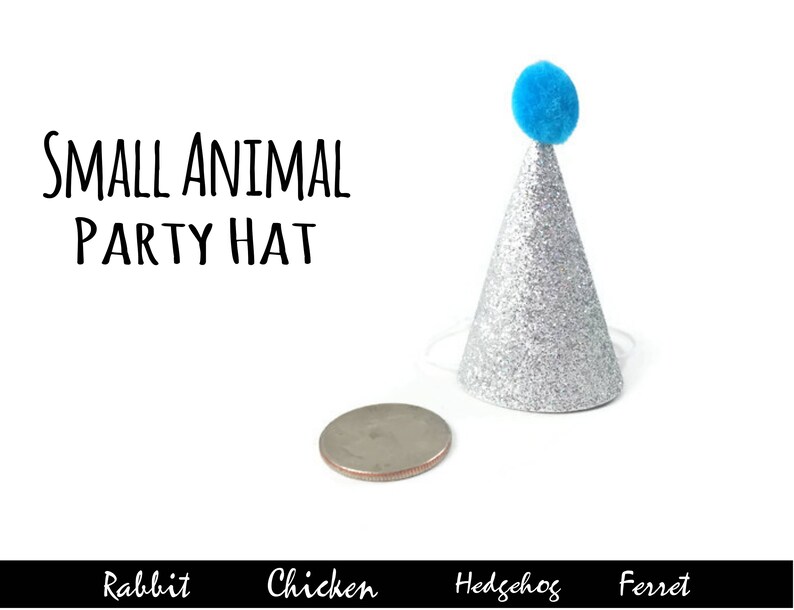 Pink Mini Party Hat Hedgehog Party Hat Chicken Party Hat Etsy