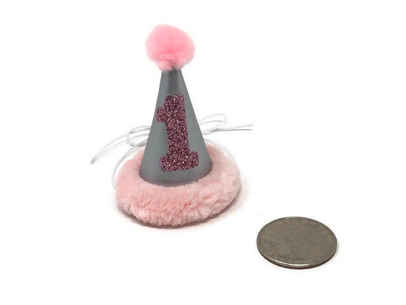 Rabbit Hat Bunny Hat Mini Baby Pink and Silver Birthday Hat Hedgehog Party Hat Guinea Pig Hat Ferret Party Hat Chicken Party Hat