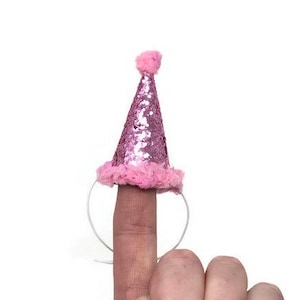 Pink Glitter Party Hat, Hedgehog Party Hat, Pink Birthdat Hat, Hat for Hedgehogs, Chicken Party Hat, Ferret Party Hat, Hat for Chinchilla