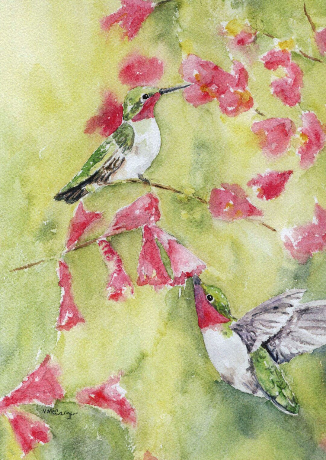 Hummingbirds and Red Flowers Watercolor Card. Stellajanecards. Etsy