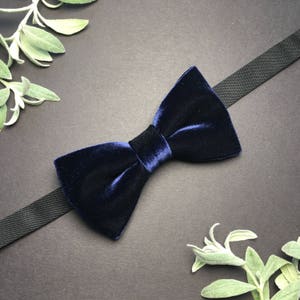 May include: A navy blue velvet bow tie with a black adjustable strap. The bow tie is centered on a dark background, with sprigs of greenery in the corners.
