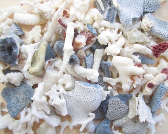 Real Coral Etsy