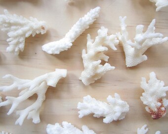 real coral etsy