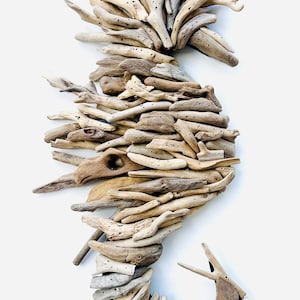 May include: A large seahorse sculpture made entirely of driftwood. The sculpture is made up of many pieces of driftwood, all of different sizes and shapes, that have been carefully arranged to create the form of a seahorse.
