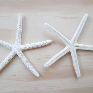 White Finger/Pencil Starfish in Size 4-5Craft Supplies-Wedding Favor-Nautical/Beach Decor-Beach Wedding Decor-White Starfish-Starfish image 4