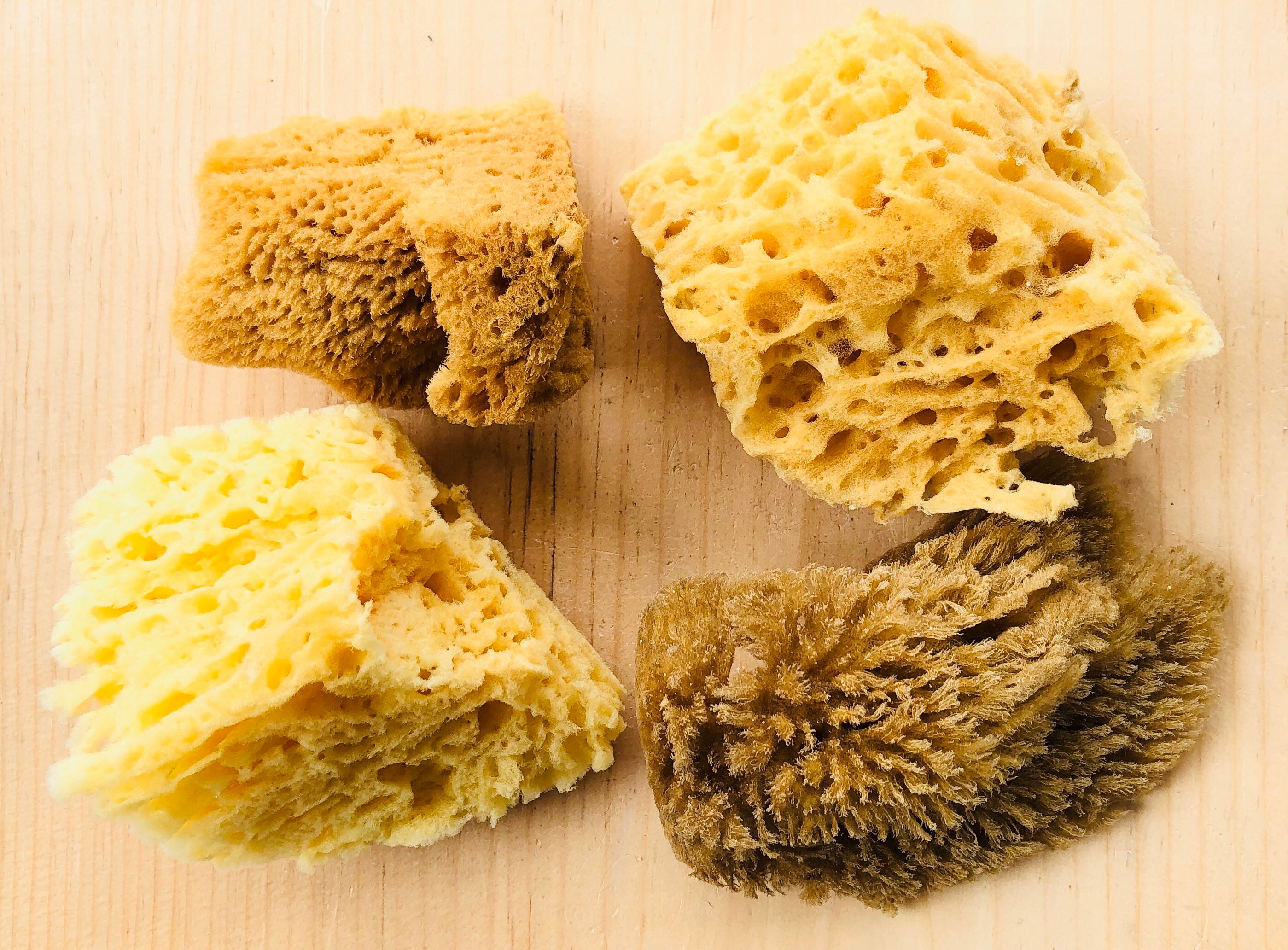 Silk Bath Cut Sponges-3-51 Piece-natural Sea Sponges-deep Sea Sponge-bath  Sponge-bath Sponges-hypoallergenic Sponge-beauty Supplies-sponge 