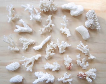 Real Coral Pieces: Assorted Sizes, Beach Wedding Decor - 5 Pcs