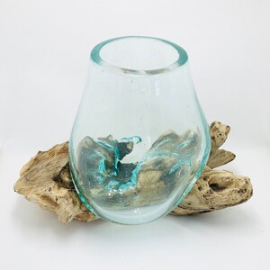 Molten Glass on Driftwood Base-Air Plant Terrarium-Fish Bowl-Eco Planter-Hand Blown Terrarium Glass-Driftwood Decor-Unique Gifts image 3