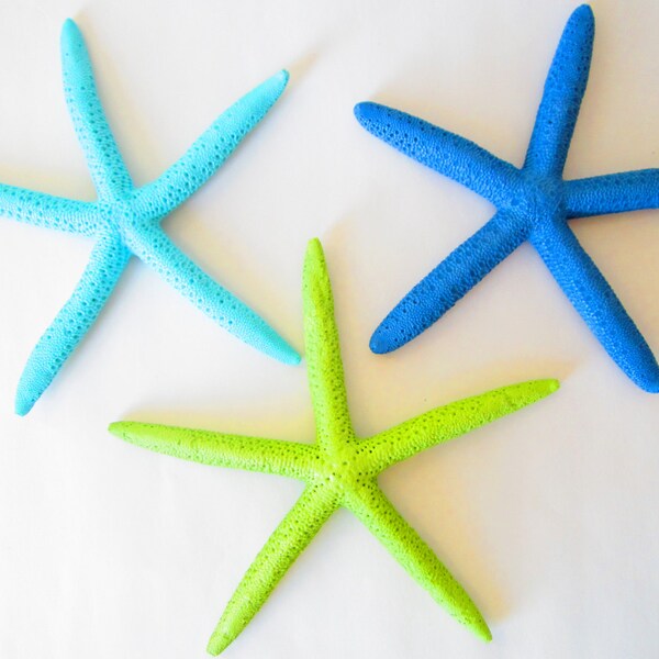 Painted Starfish 6-7"-Set of Three-Aqua-Lime Green-Turquoise-Sea Star Decor-Pained Pencil Starfish-Beach Wedding Favors-Nursery Decor