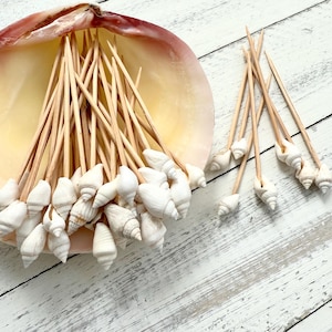 May include: A collection of natural seashell picks, each with a small white shell attached to a wooden skewer. The picks are arranged in a large, open seashell and on a white-washed wooden surface. The shells are various sizes and shapes.