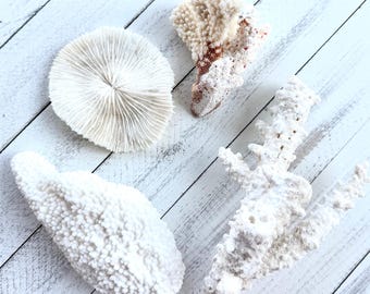 Assorted Real Coral Pieces: Beach Wedding Decor, Nautical Home Decorations