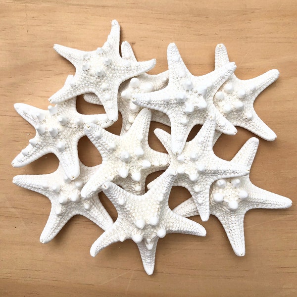 Knobby Starfish in size 2-3"-Bulk Starfish-Beach Wedding-Nautical Decor-Seashell Crafts-Seashells-Starfish-Wedding Favors-Starfish Decor