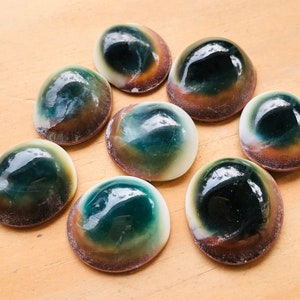 May include: Eight iridescent green, black, and brown abalone shell cabochons. The shells are smooth and have a glossy finish.