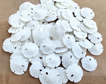 Sand Dollars 3/8-1/2&quot; Sand Dollar-Sand Dollar Craft Supply Beach Wedding Favors Wedding Decor Sand Dollar Bulk Sea Life Tiny Sand Dollars