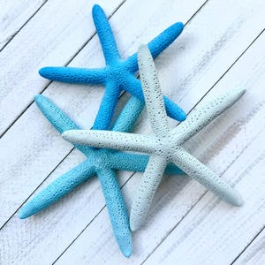 Painted Starfish - 6-7&quot;-Set of Three-Robins Egg-Aqua-Turquoise-Starfish Decor-Beach Wedding Decor-Starfish Bulk-Blue Painted Starfish-Star