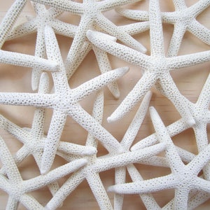 White Finger/Pencil Starfish in Size 5-6&quot;-Craft Supplies-Wedding Favor-Nautical/Beach Decor-Beach Wedding Decor-White Starfish-Starfish