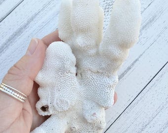 Natural Coral-Coral Cluster-Real Coral-Coral Beach Decor-Coral Supplies-Beach Wedding Decor-Beach Home Decor-Sea Life Supply-Coral