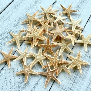 May include: A pile of tan starfish on a white wooden surface.