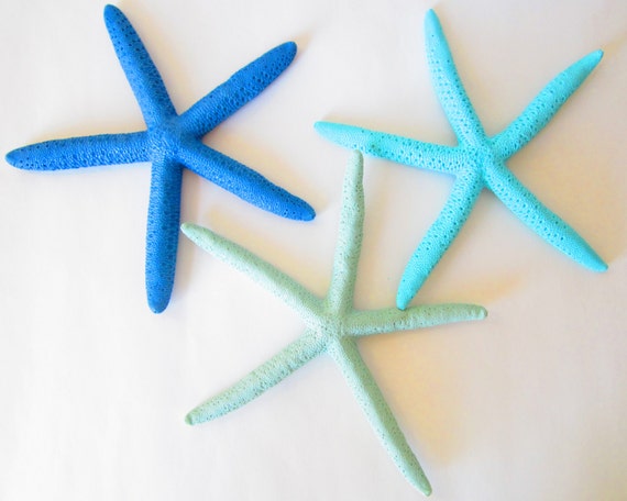 Estrella de mar pintada 6-7 Juego de espuma de tres mares-Aqua-Turquesa-Decoración  de estrellas de mar-Decoración de bodas de playa-Starfish a granel-azul  pintado de estrellas de mar-estrella de mar -  México