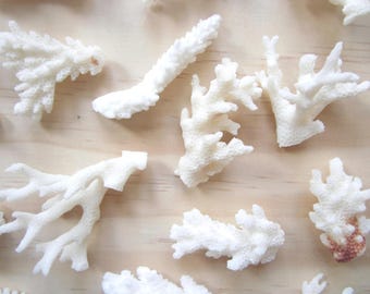 Real Coral Pieces: Assorted Beach Wedding Decor, Crafting Supplies (5 Pieces)