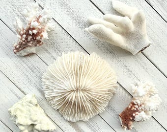 Assorted Real Coral Pieces-Coral Bulk-Beach Coral Supplies-Beach Wedding Decor-Natural Sea Life Decor-Nautical Home Decorations-Coral Pieces