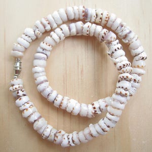 Tiger Puka Shell Necklace-Tiger Puka Shell Choker Necklace-Puka Bead Necklace-Jewelry-Beach Jewelry-Sea Shell Jewelry-Sea Shell Necklace image 1