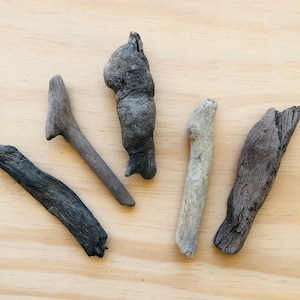 Assortment of 5 Driftwood Pieces-Craft Supplies-Driftwood Pieces-Driftwood Supplies-Driftwood-Assortment of Driftwood-Driftwood Decor-Wood
